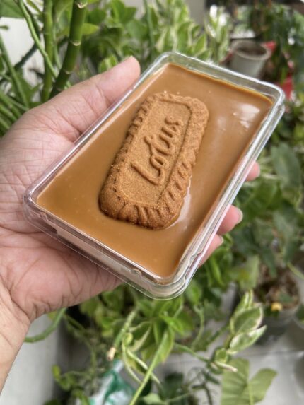 Biscoff Cheesecake